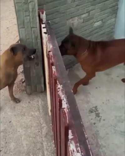 This how internet bangers be. If it don’t apply to you then don’t be offended. All bark, no bite.