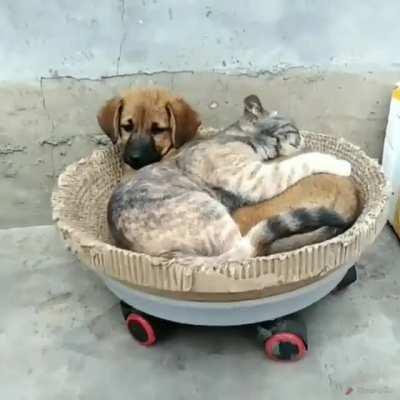 Give me some space ☺