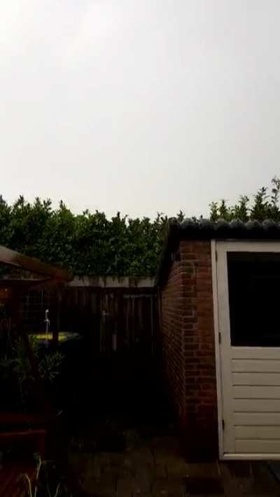 wonderful rain in my backyard