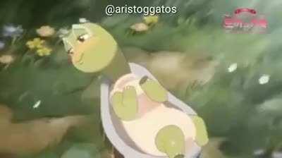 a tartaruga e o lebre versão hentai kkkk [nn tem nada d+]