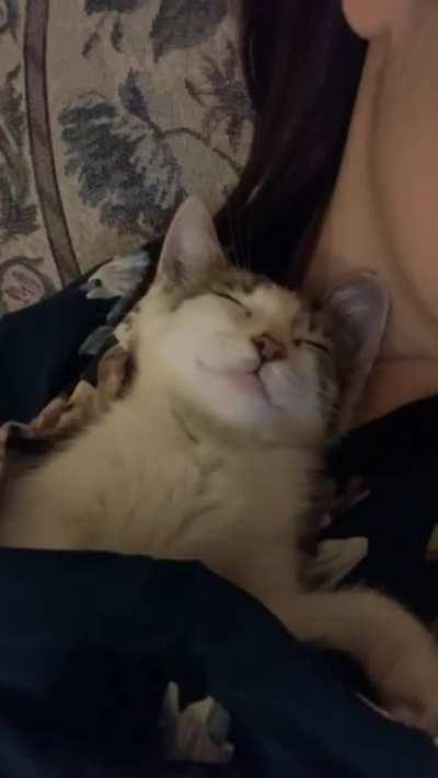 Little Pizza all rolled up