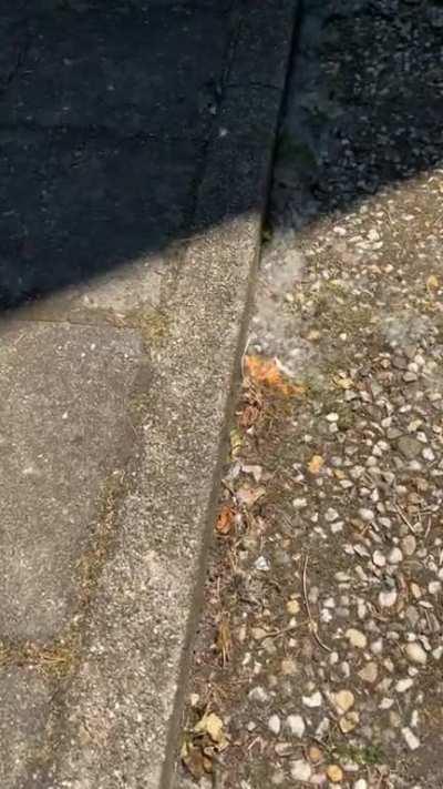 Is this the spring version of breaking ice on the floor?