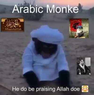 HALAL MONKE👀👀😱😱😱😱😱