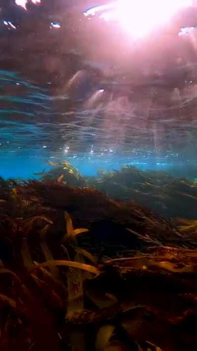 The best thing I have seen in weeks