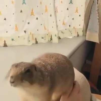 The way he asked for more