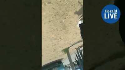 Helen Zille dragged out of Fernwood Primary School voting station in Bethelsdorp by policeman