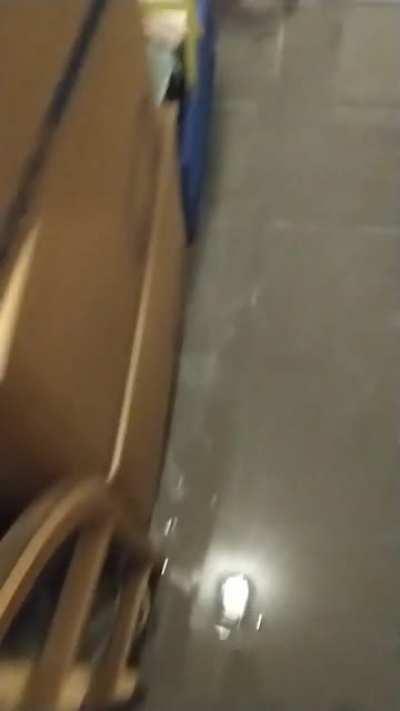 Basement got flooded in Germany during heavy rain