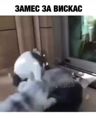 What the hell's going on?