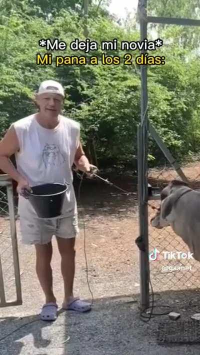 BeelcitosMemes - Video #0881