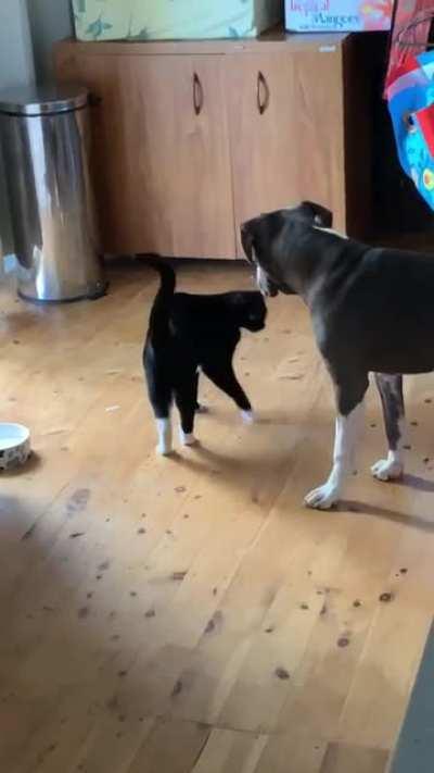 Got caught getting along