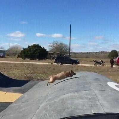 HMK while I go mega skater boiSuccess