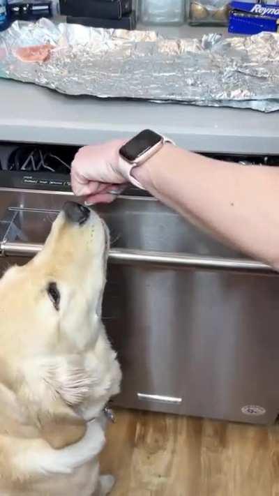 Рецепты для посудомойки