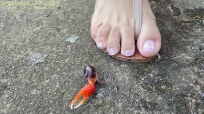 She made the poor crab disappear