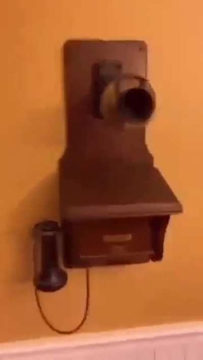 Losercity phone enthusiast