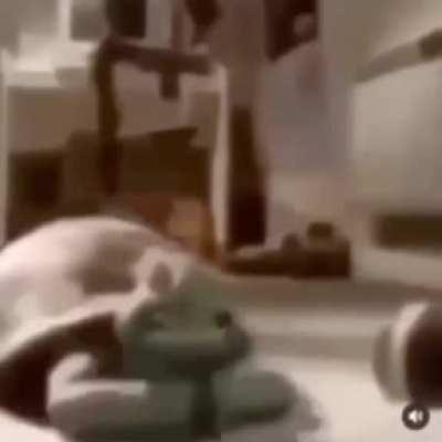 Punk Monk be hitting 😭