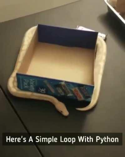 Loops Simply Explained