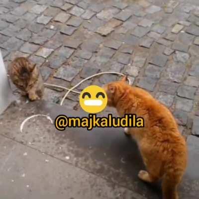 Evo ljudi čak sam se potrudio i da skinem ovo