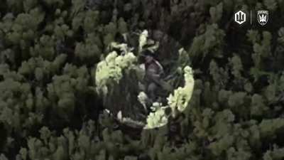 Ukraine's 414th “Birds of Madyar” of the Unmanned Systems Forces eliminate Russian infantry, Pokrovsk direction [Sept 2025]