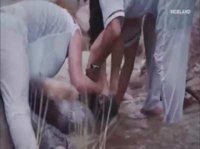 “He is in complete control…”