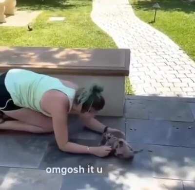 Have him a hekkin big scare