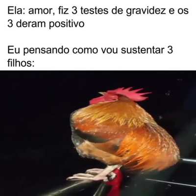 Galeto 