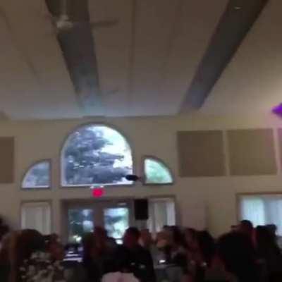 Releasing a bird in a closed place