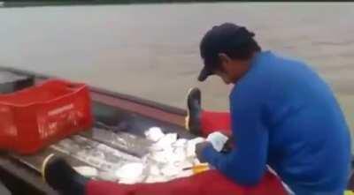 Muca dps de ter perdido seu trabalho de streamer