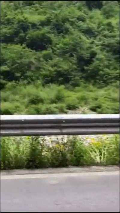 Bitch tried to cut the line