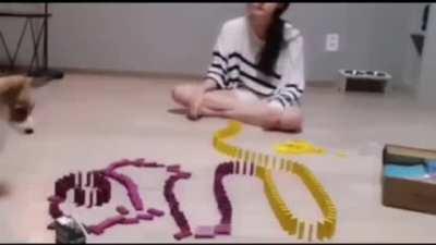 Good boy is innocent of these crimes