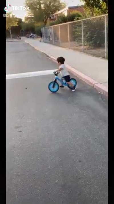 This little guy cracked me up!