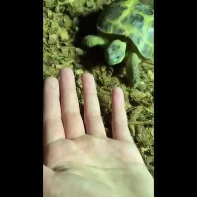 I dont have an idea for a title