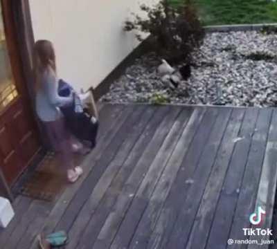 Jajaja alto tortazo en la jeta