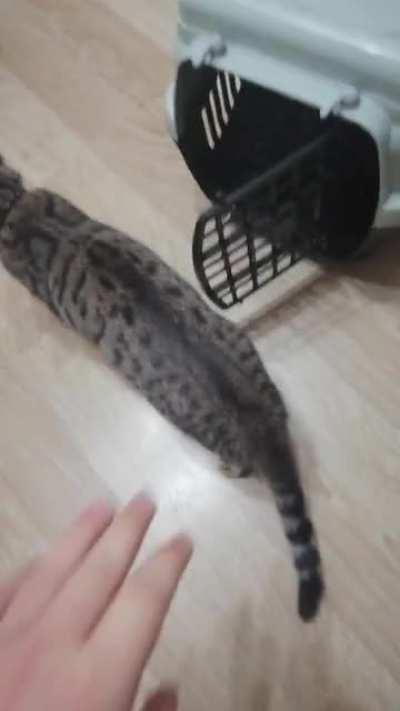 I was'nt expect that reaction