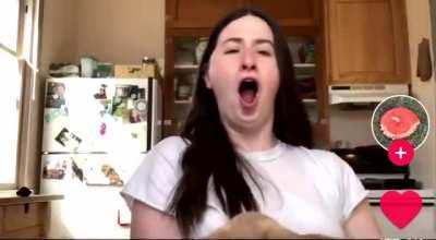 Felines are fighting back against stupidity