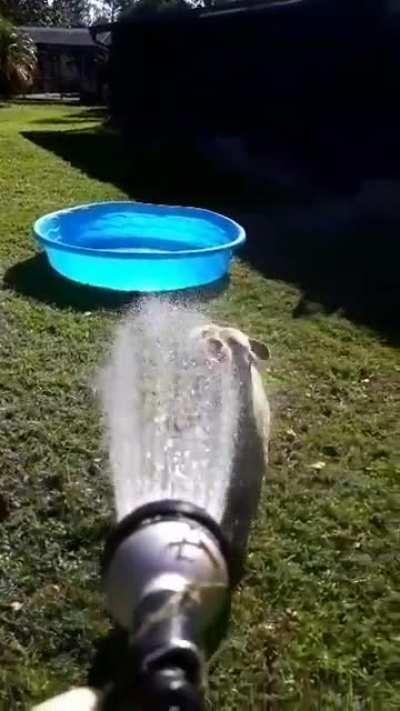 He was definitely ready!