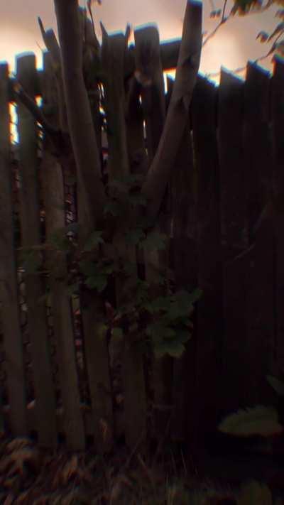 I feel like im floating (mushrooms+thc)