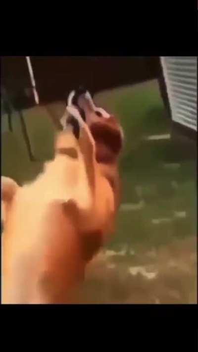 Bruh I’m crying 😭💀