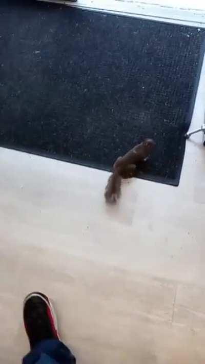 Roger inside the store again