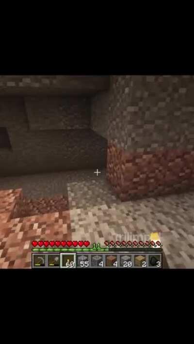 The baby in Minecraft‼️😳