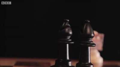 Dang I've been playing this game wrong for years