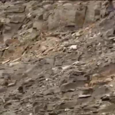 Darkraiposting - Video #2004