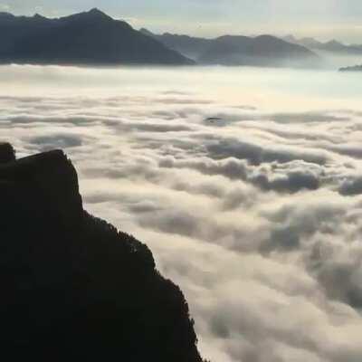 Nice filming vantage point and tracking.