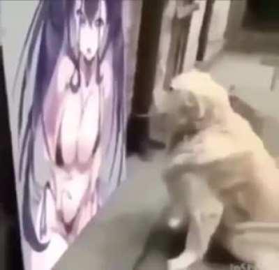 The ones who have the brightest smile shit the loudest ✊😪