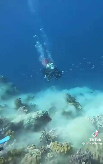 earthquake under the sea