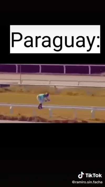 😲😲😲😲😲😲😲