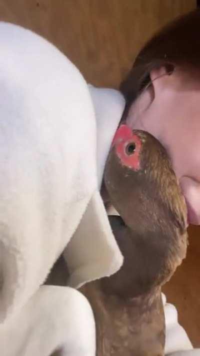 Duckie hug