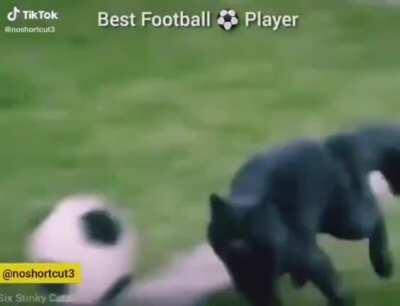 Pense num Golaço! kkkkk 😂