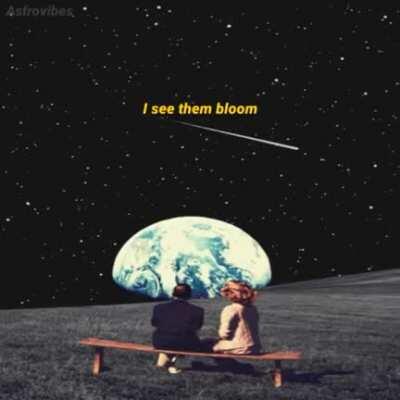 Um pouco de beleza pro sub