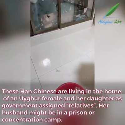 Uyghur women being forced to serve Han Chinese