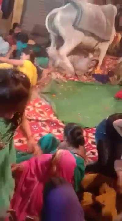 nandi had enough of this BS